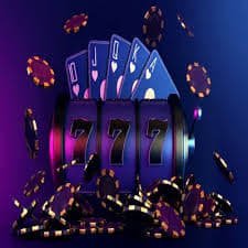 bingoplus com
