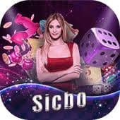 bingoplus com